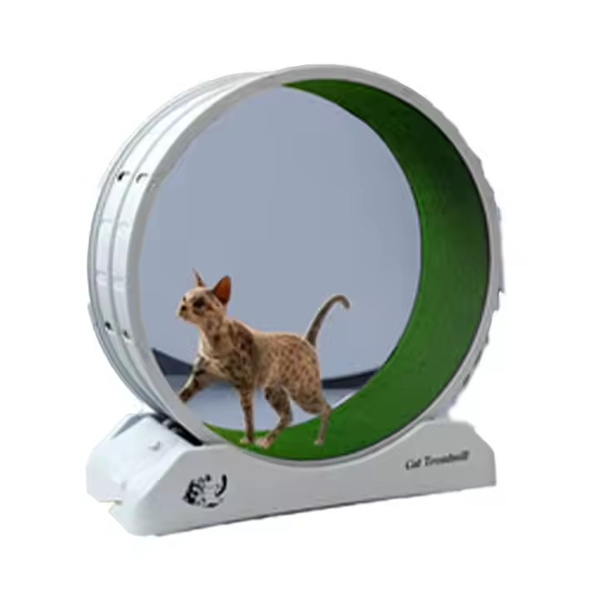 Small Spaces Cat Wheel Treadmill Running Wheel Silent Interactive Cat Toy for Indoor Cats