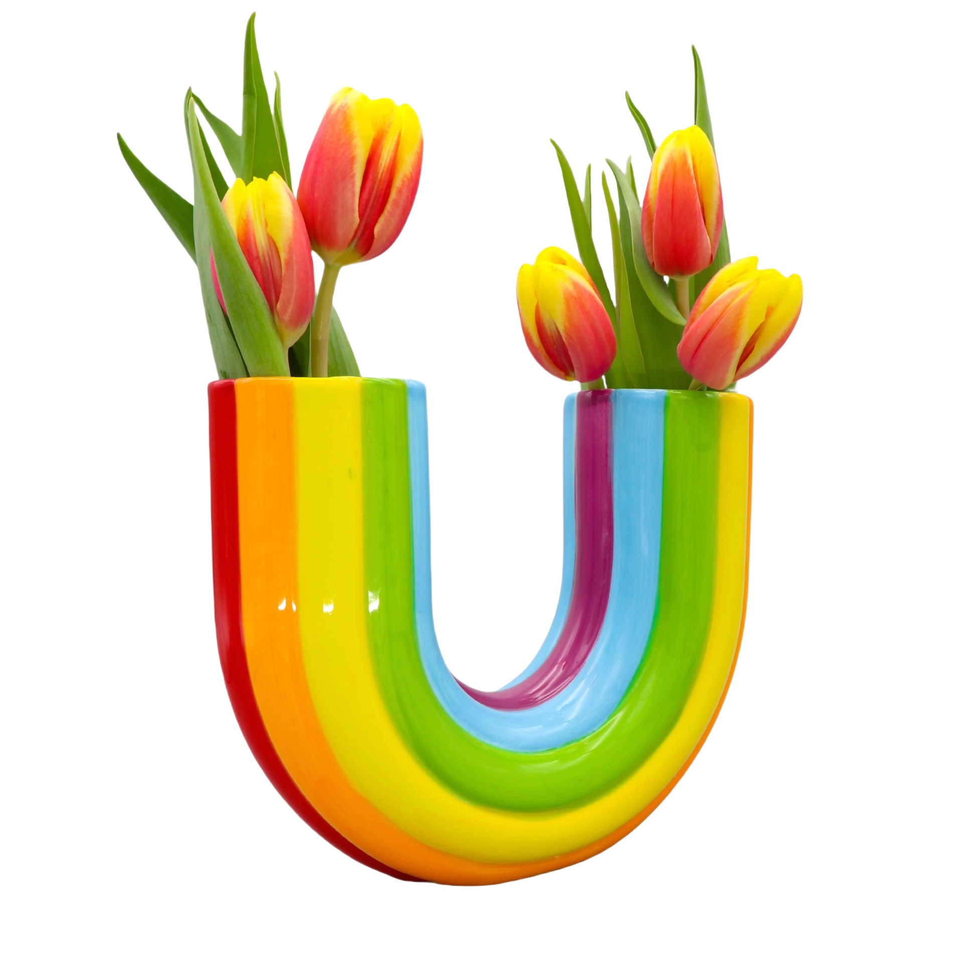 Banana Rainbow Resin Vase